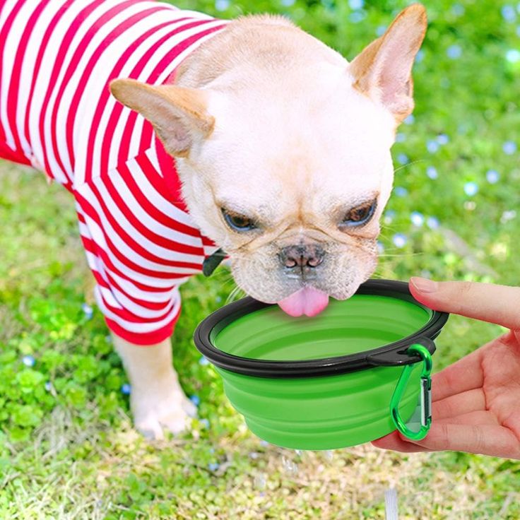 Collapsible pet travel bowls