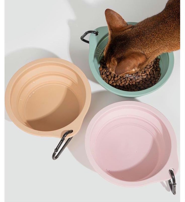 Collapsible pet travel bowls