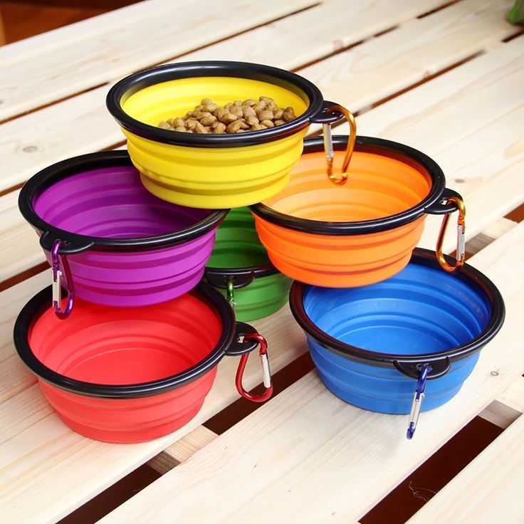 Collapsible pet travel bowls