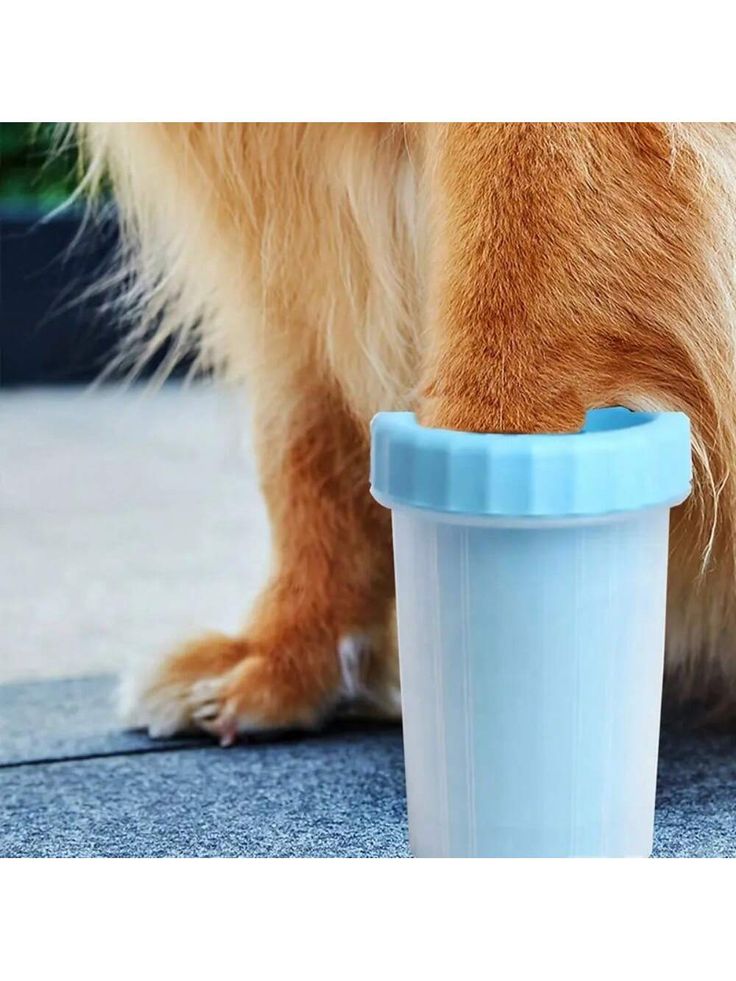 Portable Pet Paw Cleaner Cup – Dogs & Cats